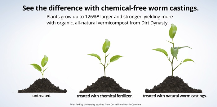 Chemical-free dirt grows healthy 100% organic plants
